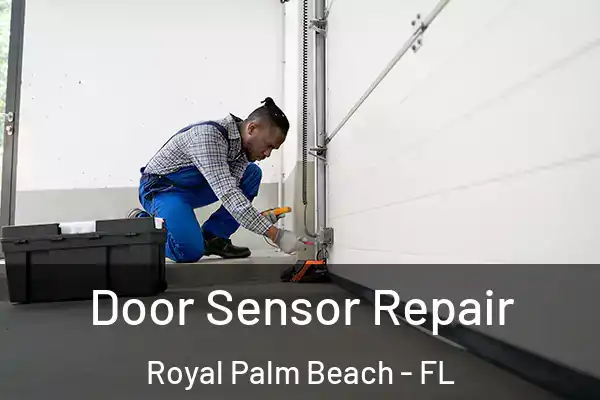  Door Sensor Repair Royal Palm Beach - FL